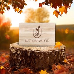 carta-legno-ecologica-fsc-publicenter