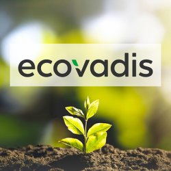 Publicenter ottiene nuovamente il Badge EcoVadis, confermando il proprio impegno nella sostenibilit&agrave; aziendale, nelle pratiche ESG e nei processi a basso impatto ambientale